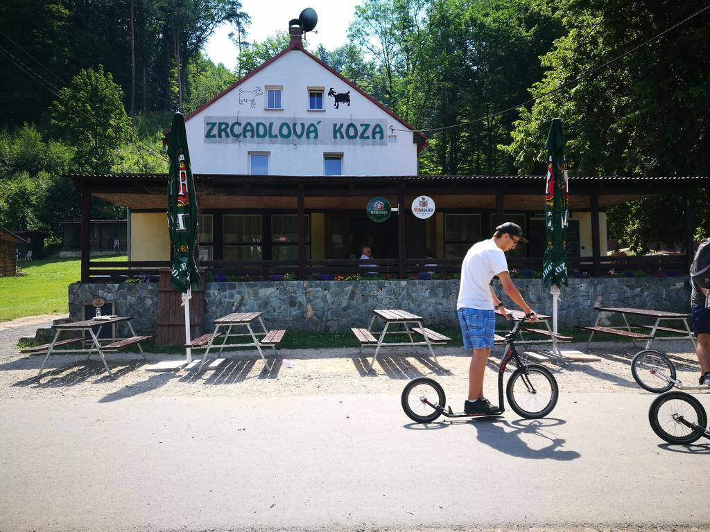 Zrcadlova Koza Guest house *
